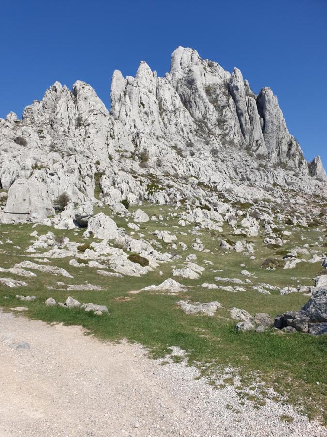 Apartmani Rudi Anić Esterno foto